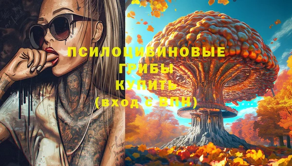 Альфа ПВП Балахна