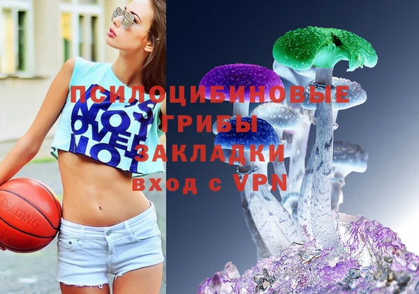 Альфа ПВП Балахна