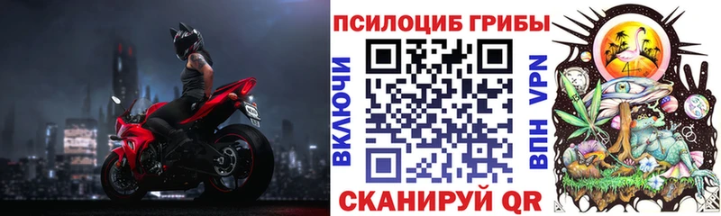 Купить  Татарск  Псилоцибиновые грибы Cubensis 